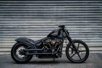 Harley-Davidson Customizing Guide