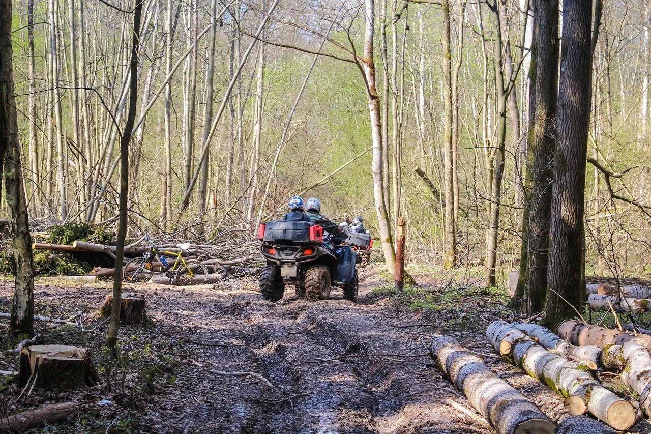 Best ATVs for Trail Riding